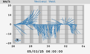 Wind Vector