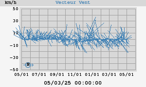 Wind Vector